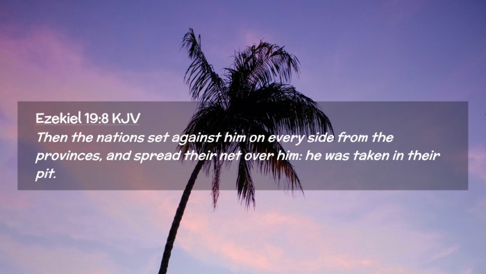 Picture 02 - Ezekiel 19:8 KJV Desktop Wallpaper - Then the nations set against him on every side - Desktop Bible Verse Wallpaper