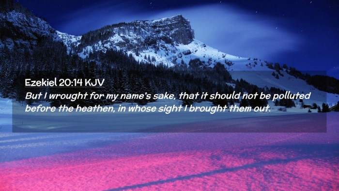 Picture 02 - Ezekiel 20:14 KJV Desktop Wallpaper - But I wrought for my name's sake, that it should - Desktop Bible Verse Wallpaper