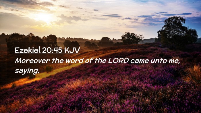 Picture 02 - Ezekiel 20:45 KJV Desktop Wallpaper - Moreover the word of the LORD came unto me, - Desktop Bible Verse Wallpaper