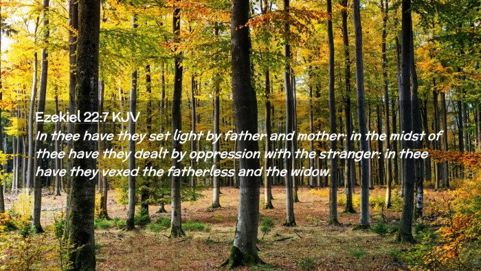 Picture 02 - Ezekiel 22:7 KJV Desktop Wallpaper - In thee have they set light by father and mother: - Desktop Bible Verse Wallpaper
