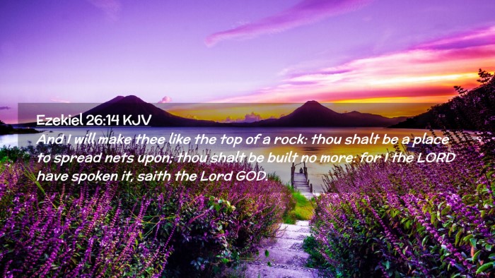 Picture 02 - Ezekiel 26:14 KJV Desktop Wallpaper - And I will make thee like the top of a rock: thou - Desktop Bible Verse Wallpaper