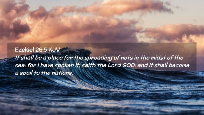 Picture 02 - Ezekiel 26:5 KJV Desktop Wallpaper - It shall be a place for the spreading of nets in - Desktop Bible Verse Wallpaper