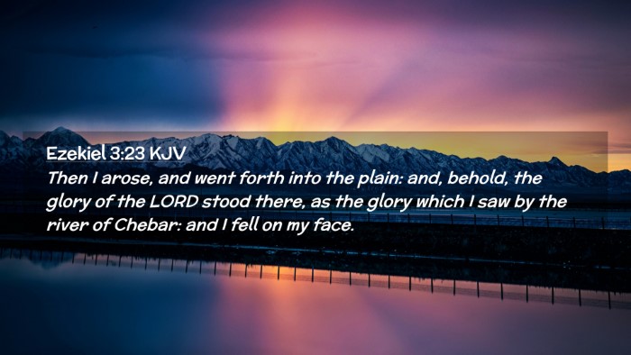 Picture 02 - Ezekiel 3:23 KJV Desktop Wallpaper - Then I arose, and went forth into the plain: and, - Desktop Bible Verse Wallpaper