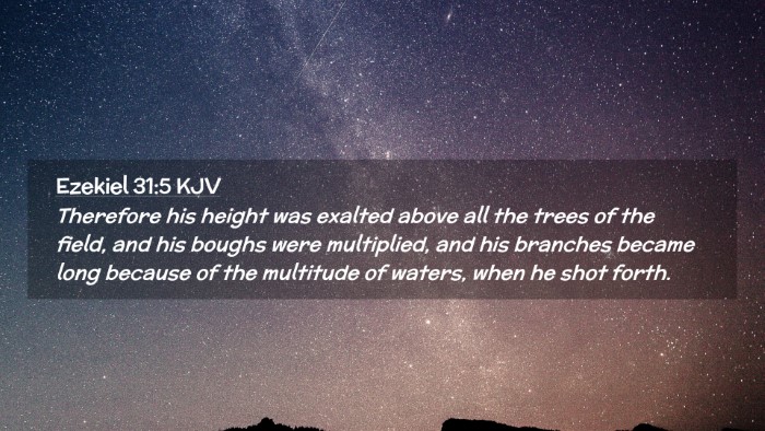 Picture 02 - Ezekiel 31:5 KJV Desktop Wallpaper - Therefore his height was exalted above all the - Desktop Bible Verse Wallpaper