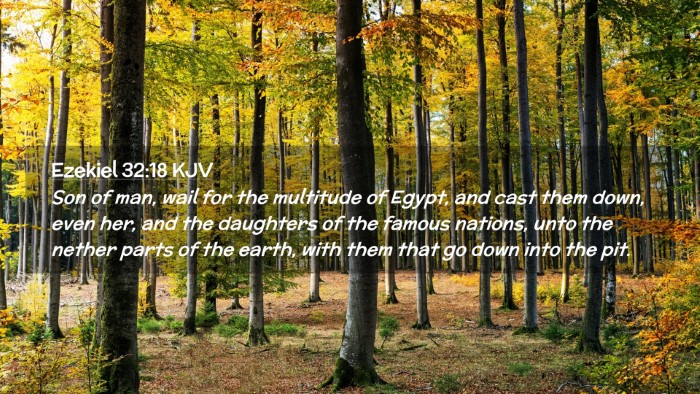 Picture 02 - Ezekiel 32:18 KJV Desktop Wallpaper - Son of man, wail for the multitude of Egypt, and - Desktop Bible Verse Wallpaper