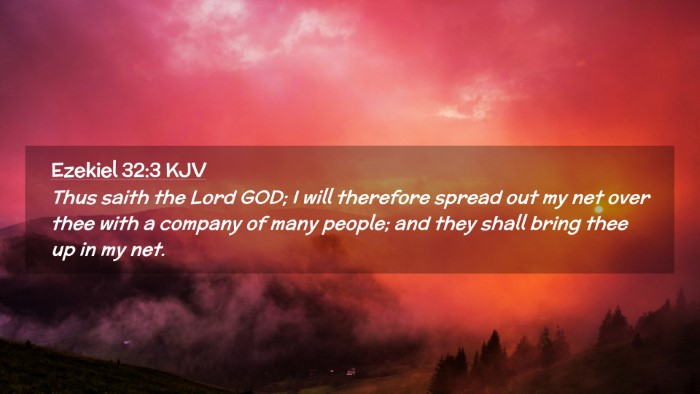 Picture 02 - Ezekiel 32:3 KJV Desktop Wallpaper - Thus saith the Lord GOD; I will therefore spread - Desktop Bible Verse Wallpaper