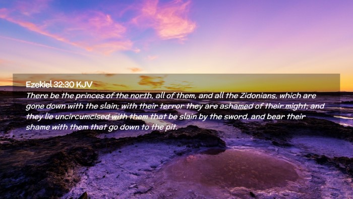 Picture 02 - Ezekiel 32:30 KJV Desktop Wallpaper - There be the princes of the north, all of them, - Desktop Bible Verse Wallpaper