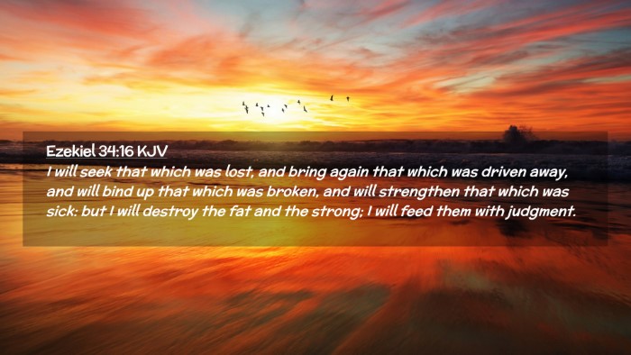 Picture 02 - Ezekiel 34:16 KJV Desktop Wallpaper - I will seek that which was lost, and bring again - Desktop Bible Verse Wallpaper