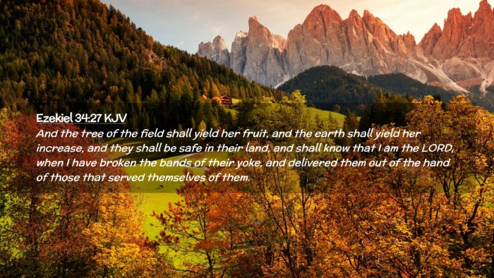 Picture 02 - Ezekiel 34:27 KJV Desktop Wallpaper - And the tree of the field shall yield her fruit, - Desktop Bible Verse Wallpaper
