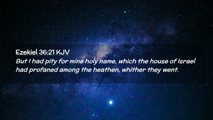 Picture 02 - Ezekiel 36:21 KJV Desktop Wallpaper - But I had pity for mine holy name, which the - Desktop Bible Verse Wallpaper