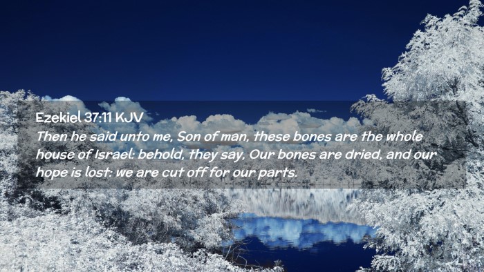 Picture 02 - Ezekiel 37:11 KJV Desktop Wallpaper - Then he said unto me, Son of man, these bones are - Desktop Bible Verse Wallpaper