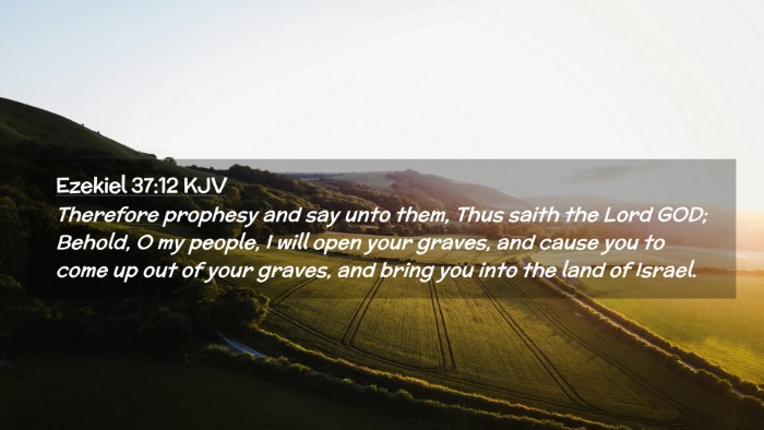 Picture 02 - Ezekiel 37:12 KJV Desktop Wallpaper - Therefore prophesy and say unto them, Thus saith - Desktop Bible Verse Wallpaper