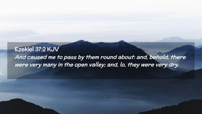 Picture 02 - Ezekiel 37:2 KJV Desktop Wallpaper - And caused me to pass by them round about: and, - Desktop Bible Verse Wallpaper