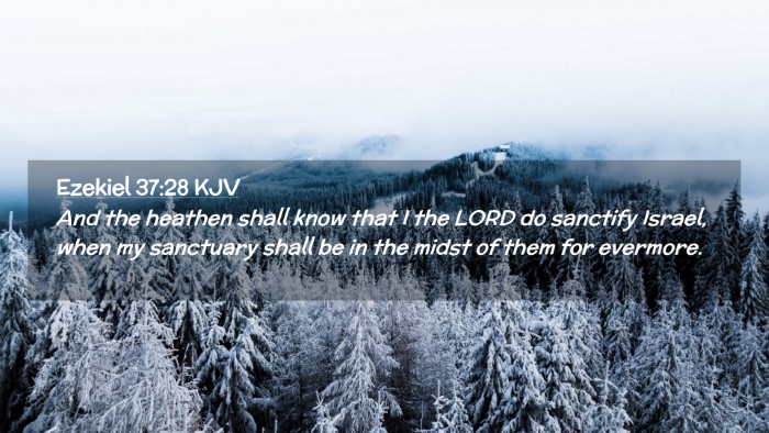 Picture 02 - Ezekiel 37:28 KJV Desktop Wallpaper - And the heathen shall know that I the LORD do - Desktop Bible Verse Wallpaper
