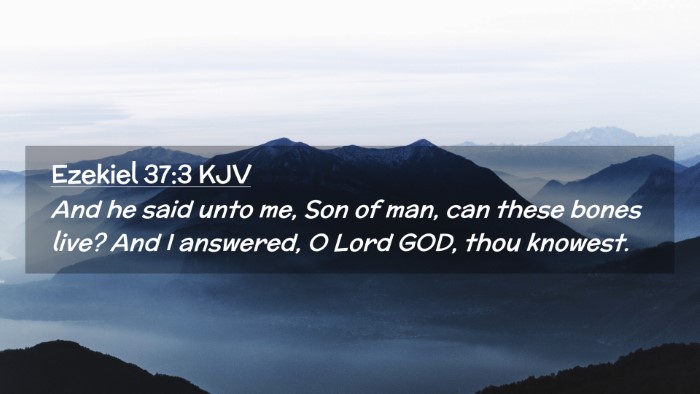 Picture 02 - Ezekiel 37:3 KJV Desktop Wallpaper - And he said unto me, Son of man, can these bones - Desktop Bible Verse Wallpaper