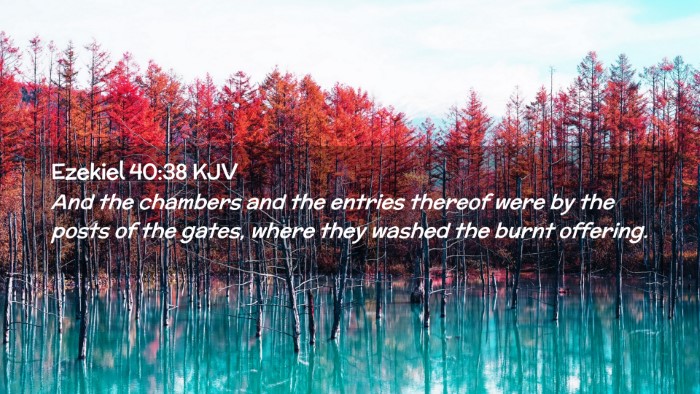 Picture 02 - Ezekiel 40:38 KJV Desktop Wallpaper - And the chambers and the entries thereof were by - Desktop Bible Verse Wallpaper