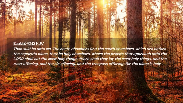 Picture 02 - Ezekiel 42:13 KJV Desktop Wallpaper - Then said he unto me, The north chambers and the - Desktop Bible Verse Wallpaper