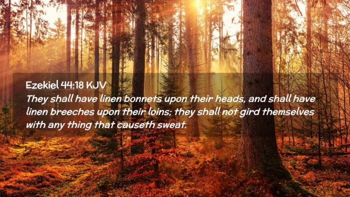 Picture 02 - Ezekiel 44:18 KJV Desktop Wallpaper - They shall have linen bonnets upon their heads, - Desktop Bible Verse Wallpaper