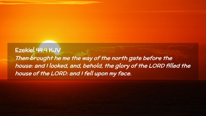 Picture 02 - Ezekiel 44:4 KJV Desktop Wallpaper - Then brought he me the way of the north gate - Desktop Bible Verse Wallpaper