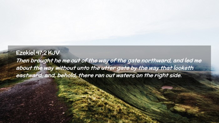 Picture 02 - Ezekiel 47:2 KJV Desktop Wallpaper - Then brought he me out of the way of the gate - Desktop Bible Verse Wallpaper