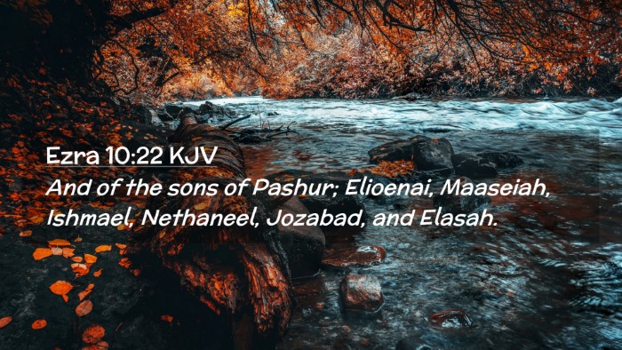 Picture 02 - Ezra 10:22 KJV Desktop Wallpaper - And of the sons of Pashur; Elioenai, Maaseiah, - Desktop Bible Verse Wallpaper