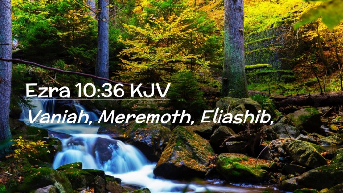 Picture 02 - Ezra 10:36 KJV Desktop Wallpaper - Vaniah, Meremoth, - Desktop Bible Verse Wallpaper