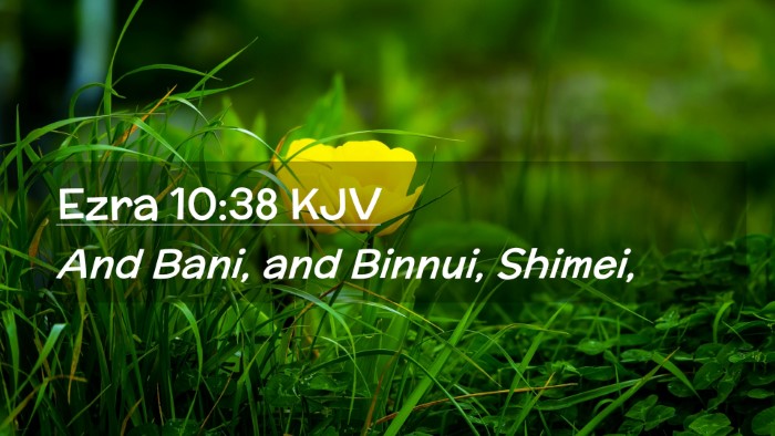 Picture 02 - Ezra 10:38 KJV Desktop Wallpaper - And Bani, and Binnui, - Desktop Bible Verse Wallpaper