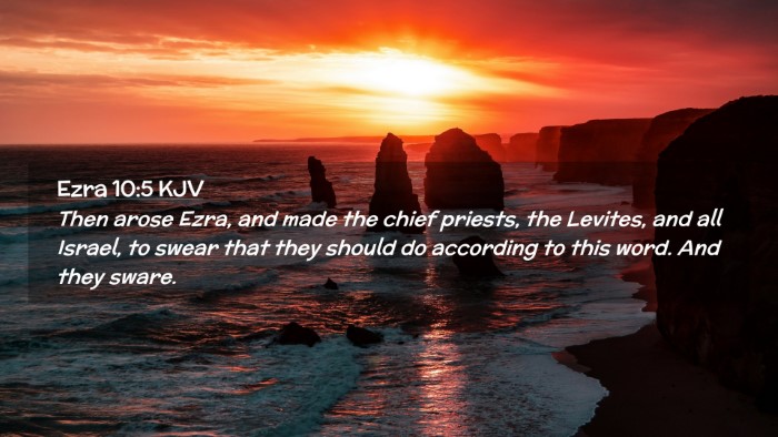 Picture 02 - Ezra 10:5 KJV Desktop Wallpaper - Then arose Ezra, and made the chief priests, the - Desktop Bible Verse Wallpaper