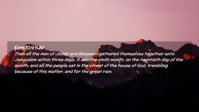 Picture 02 - Ezra 10:9 KJV Desktop Wallpaper - Then all the men of Judah and Benjamin gathered - Desktop Bible Verse Wallpaper