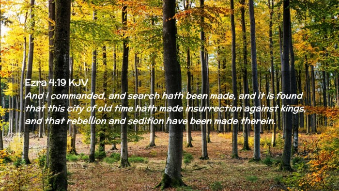 Picture 02 - Ezra 4:19 KJV Desktop Wallpaper - And I commanded, and search hath been made, and - Desktop Bible Verse Wallpaper