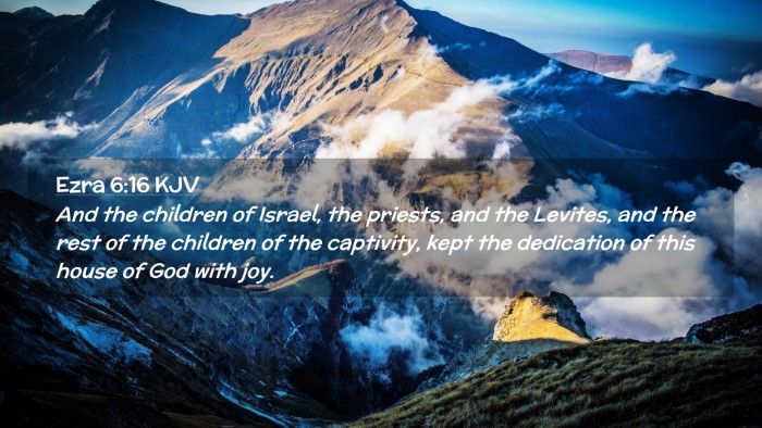 Picture 02 - Ezra 6:16 KJV Desktop Wallpaper - And the children of Israel, the priests, and the - Desktop Bible Verse Wallpaper