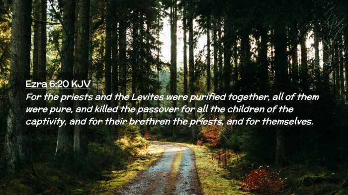 Picture 02 - Ezra 6:20 KJV Desktop Wallpaper - For the priests and the Levites were purified - Desktop Bible Verse Wallpaper