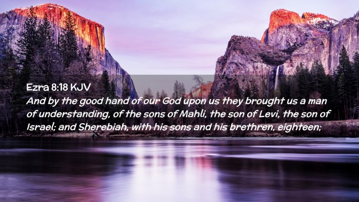 Picture 02 - Ezra 8:18 KJV Desktop Wallpaper - And by the good hand of our God upon us they - Desktop Bible Verse Wallpaper