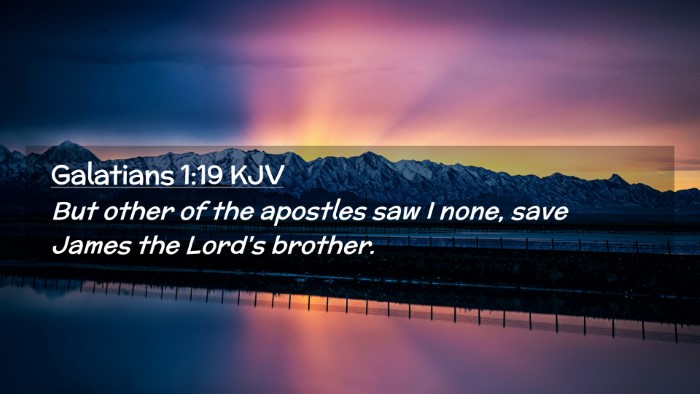 Picture 02 - Galatians 1:19 KJV Desktop Wallpaper - But other of the apostles saw I none, save James - Desktop Bible Verse Wallpaper