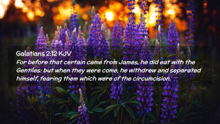 Picture 02 - Galatians 2:12 KJV Desktop Wallpaper - For before that certain came from James, he did - Desktop Bible Verse Wallpaper