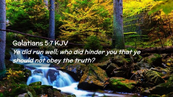 Picture 02 - Galatians 5:7 KJV Desktop Wallpaper - Ye did run well; who did hinder you that ye - Desktop Bible Verse Wallpaper