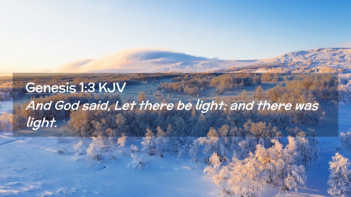 Picture 02 - Genesis 1:3 KJV Desktop Wallpaper - And God said, Let there be light: and there was - Desktop Bible Verse Wallpaper