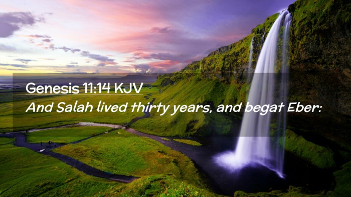 Picture 02 - Genesis 11:14 KJV Desktop Wallpaper - And Salah lived thirty years, and begat - Desktop Bible Verse Wallpaper