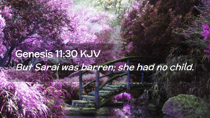 Picture 02 - Genesis 11:30 KJV Desktop Wallpaper - But Sarai was barren; she had no - Desktop Bible Verse Wallpaper