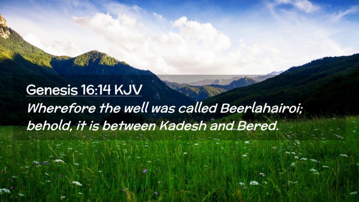 Picture 02 - Genesis 16:14 KJV Desktop Wallpaper - Wherefore the well was called Beerlahairoi; - Desktop Bible Verse Wallpaper