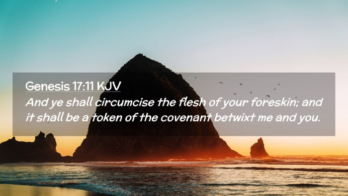 Picture 02 - Genesis 17:11 KJV Desktop Wallpaper - And ye shall circumcise the flesh of your - Desktop Bible Verse Wallpaper