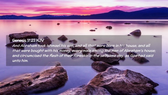 Picture 02 - Genesis 17:23 KJV Desktop Wallpaper - And Abraham took Ishmael his son, and all that - Desktop Bible Verse Wallpaper