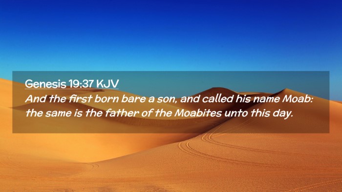 Picture 02 - Genesis 19:37 KJV Desktop Wallpaper - And the first born bare a son, and called his - Desktop Bible Verse Wallpaper