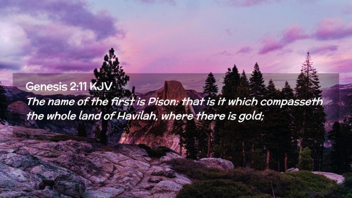 Picture 02 - Genesis 2:11 KJV Desktop Wallpaper - The name of the first is Pison: that is it which - Desktop Bible Verse Wallpaper
