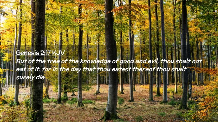 Picture 02 - Genesis 2:17 KJV Desktop Wallpaper - But of the tree of the knowledge of good and - Desktop Bible Verse Wallpaper