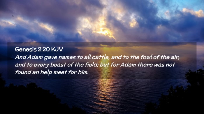 Picture 02 - Genesis 2:20 KJV Desktop Wallpaper - And Adam gave names to all cattle, and to the - Desktop Bible Verse Wallpaper