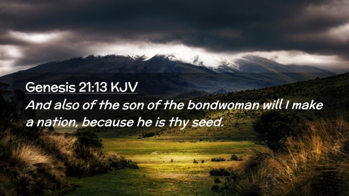 Picture 02 - Genesis 21:13 KJV Desktop Wallpaper - And also of the son of the bondwoman will I make - Desktop Bible Verse Wallpaper