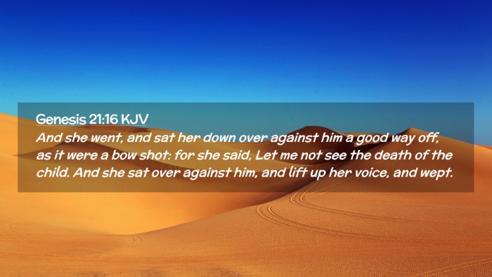Picture 02 - Genesis 21:16 KJV Desktop Wallpaper - And she went, and sat her down over against him a - Desktop Bible Verse Wallpaper