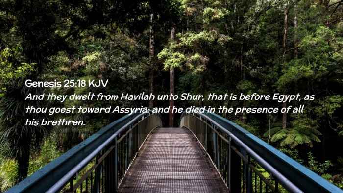 Picture 02 - Genesis 25:18 KJV Desktop Wallpaper - And they dwelt from Havilah unto Shur, that is - Desktop Bible Verse Wallpaper