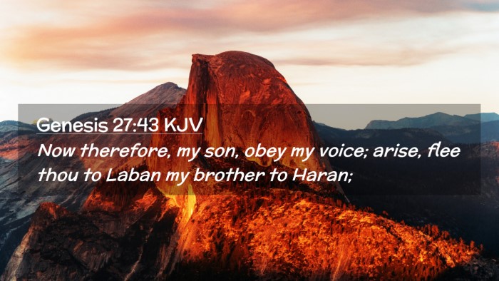 Picture 02 - Genesis 27:43 KJV Desktop Wallpaper - Now therefore, my son, obey my voice; arise, flee - Desktop Bible Verse Wallpaper